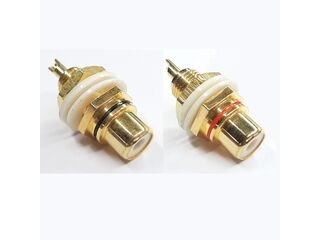 Budget Gold RCA (pair)