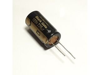 220uF/100V Black Gate