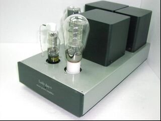 Ladyday SE 300B with WE91